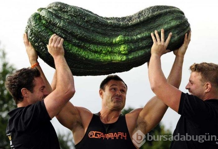 Dev sebze ve meyveler

