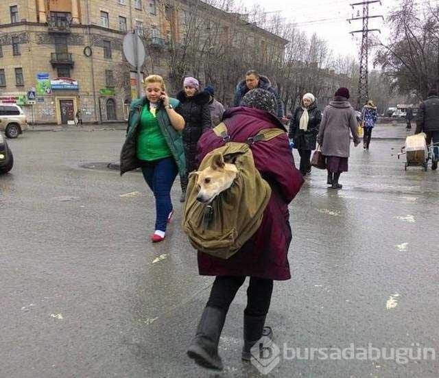 Sadece Rusya'da görebilirsiniz