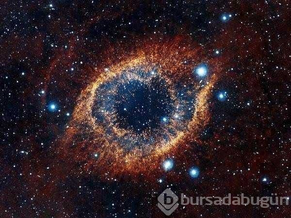 Ünlü fizikçi uzaylıların nasıl görüneceğini açıkladı
