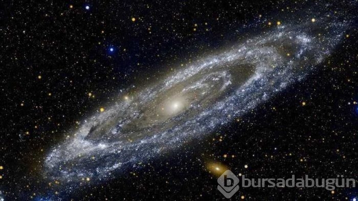 Ünlü fizikçi uzaylıların nasıl görüneceğini açıkladı
