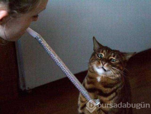 Günün en çok paylaşılan fotoğrafları
