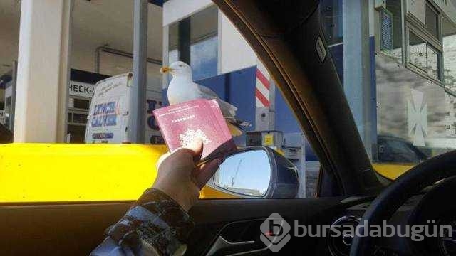 Günün en çok paylaşılan fotoğrafları