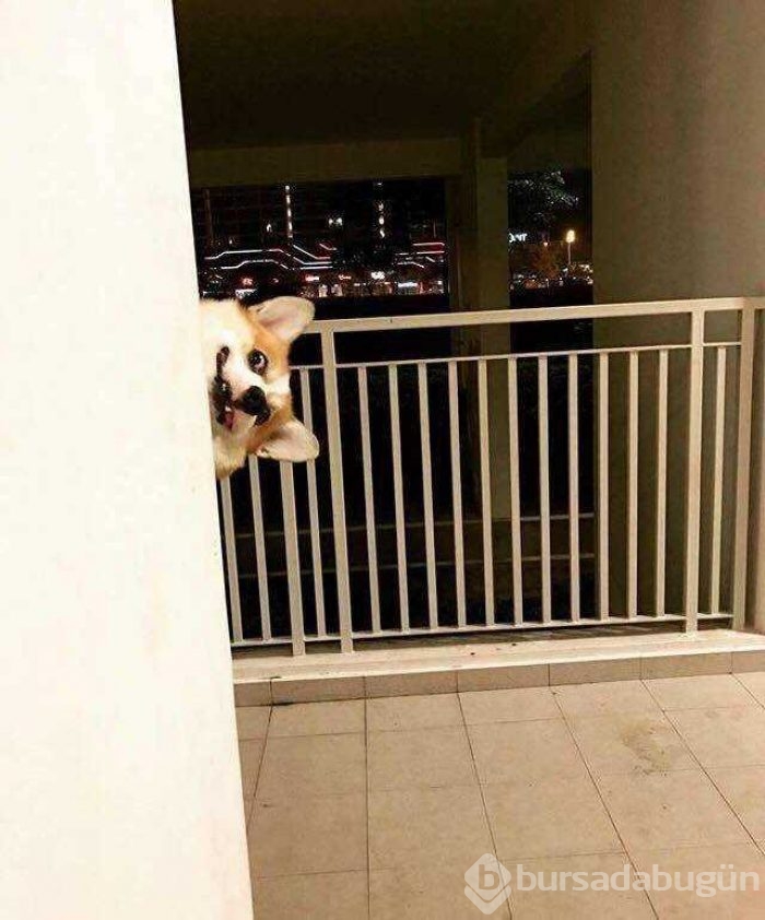 Günün en çok paylaşılan fotoğrafları