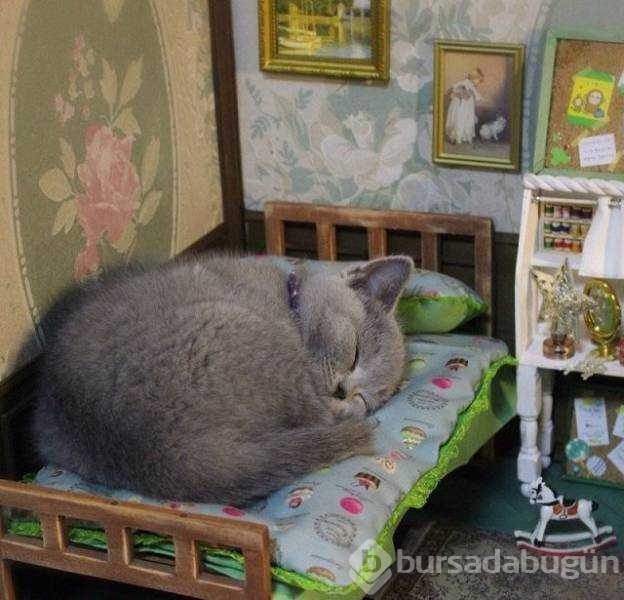 Günün en çok paylaşılan fotoğrafları