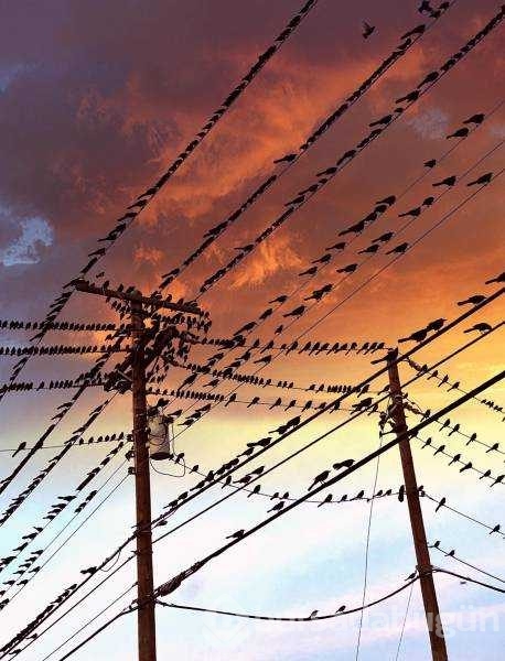 Günün en çok paylaşılan fotoğrafları