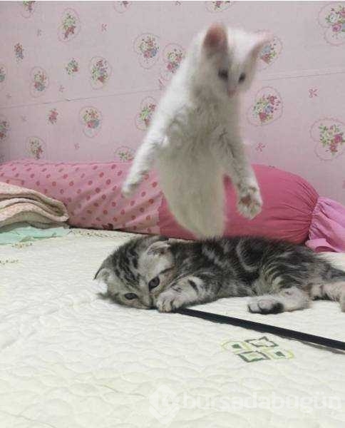 Günün en çok paylaşılan fotoğrafları