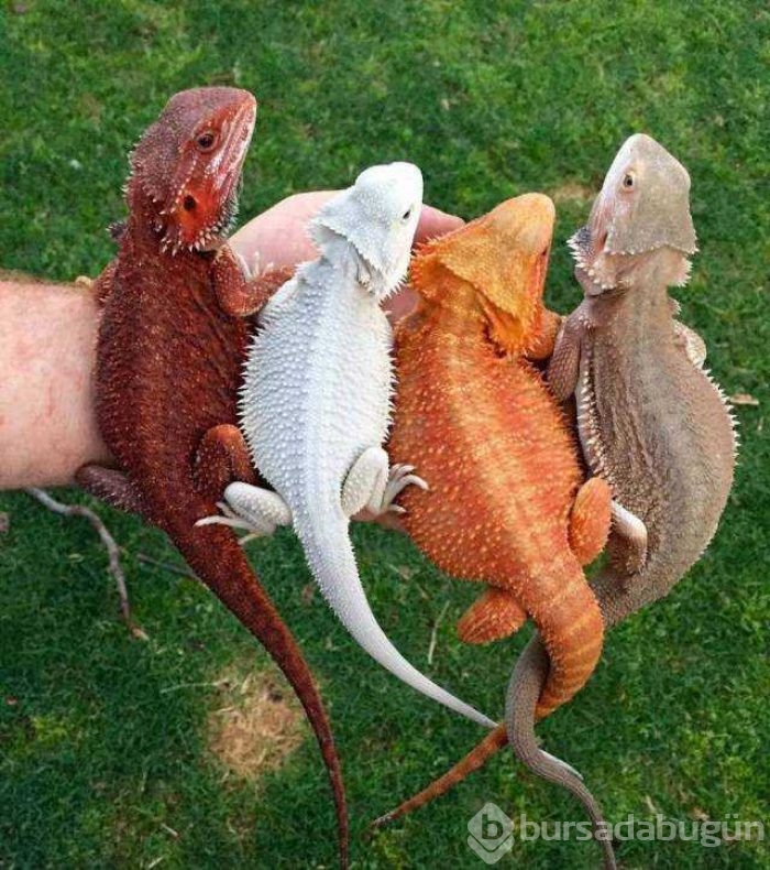 Günün en çok paylaşılan fotoğrafları