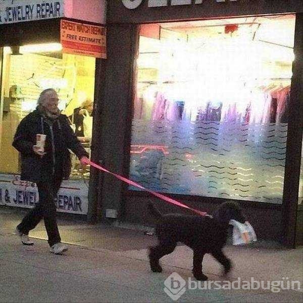 Günün en çok paylaşılan fotoğrafları