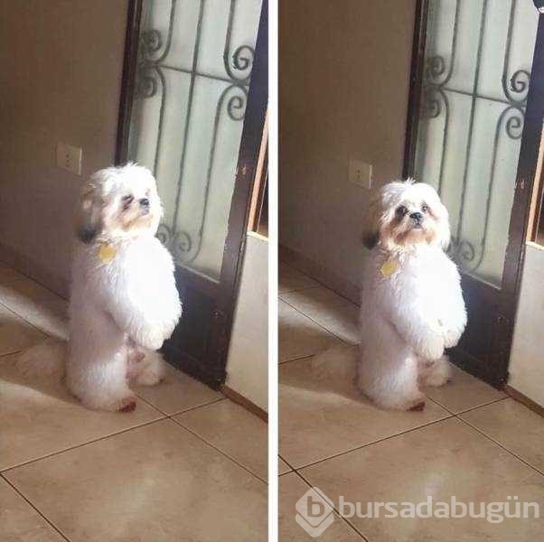 Günün en çok paylaşılan fotoğrafları