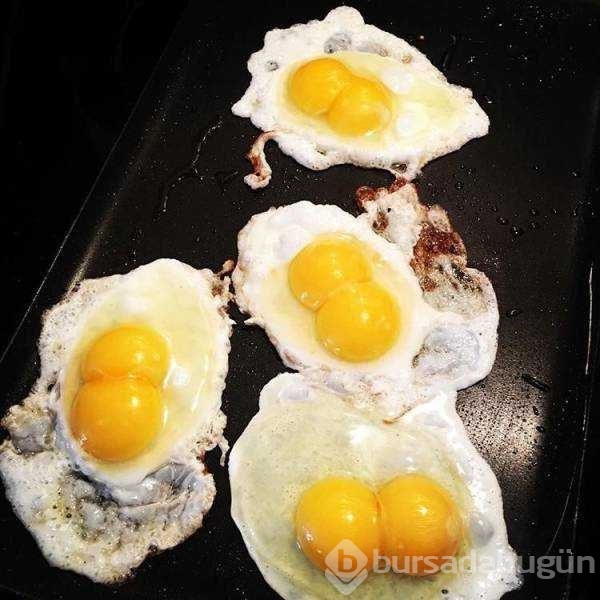 Günün en çok paylaşılan fotoğrafları