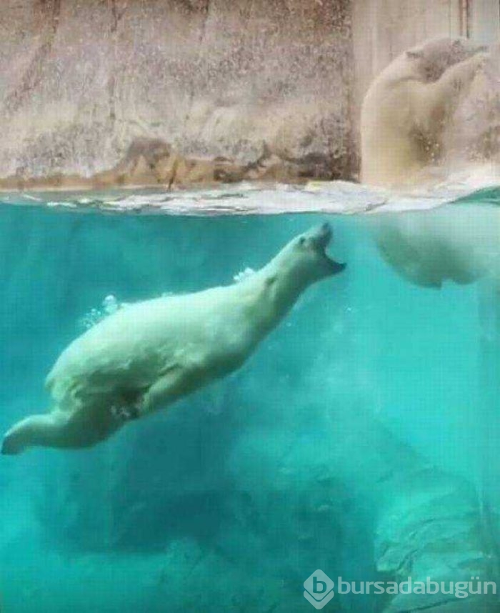 Günün en çok paylaşılan fotoğrafları