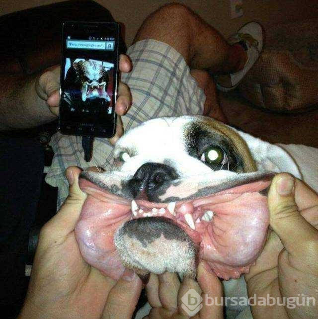 Günün en çok paylaşılan fotoğrafları