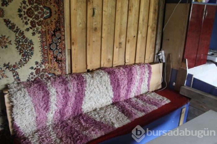 Dehşet çiftliğinin sahibi: Sokakta kalmamaları için yanımda kalmalarına izin verdim