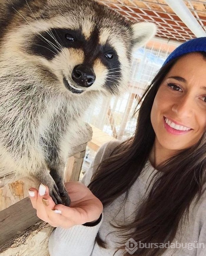 Hayvan barınakları gönüllülerinden çarpıcı fotoğraflar
