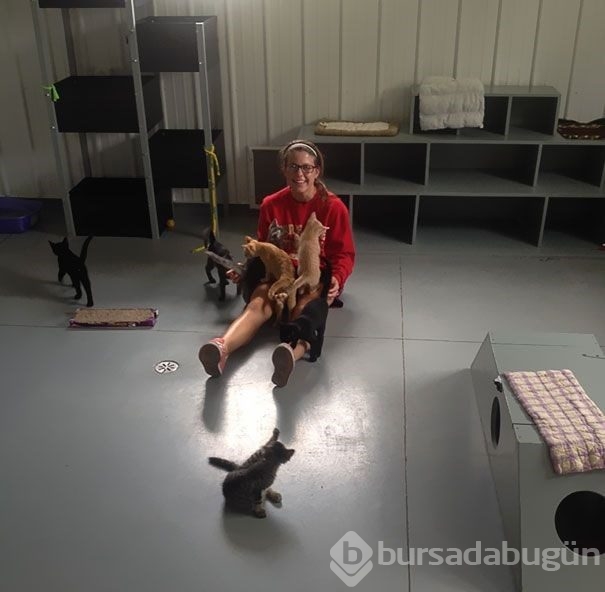 Hayvan barınakları gönüllülerinden çarpıcı fotoğraflar
