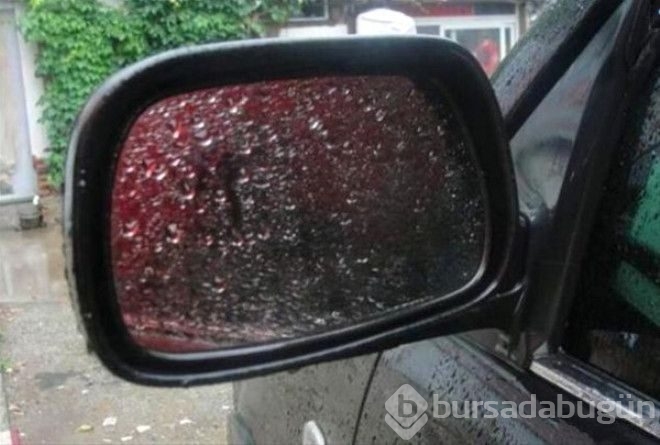 Az bilinen şaşırtıcı bilgiler