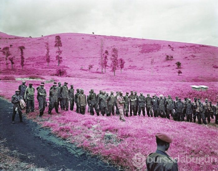 Muhteşem Kızılötesi fotoğrafçılık örnekleri