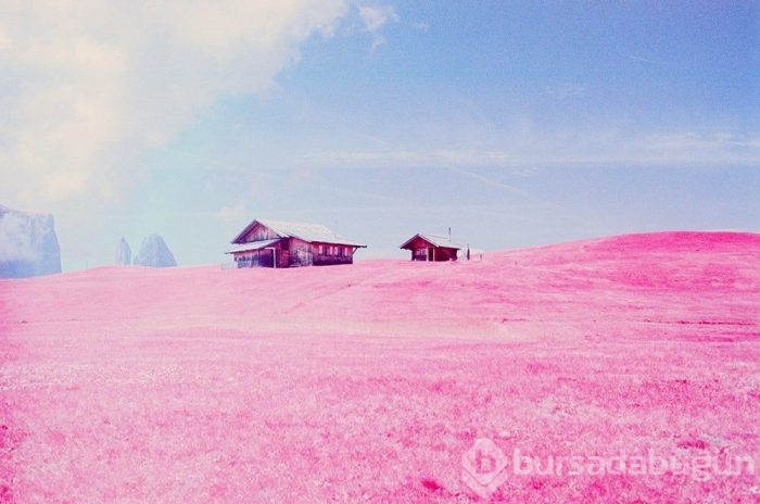 Muhteşem Kızılötesi fotoğrafçılık örnekleri