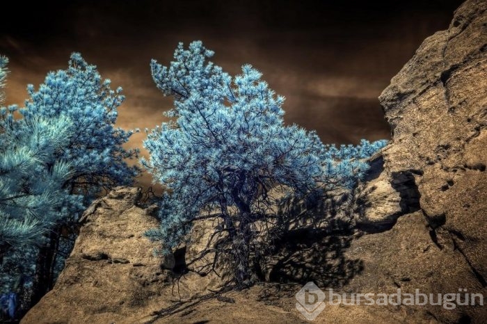 Muhteşem Kızılötesi fotoğrafçılık örnekleri
