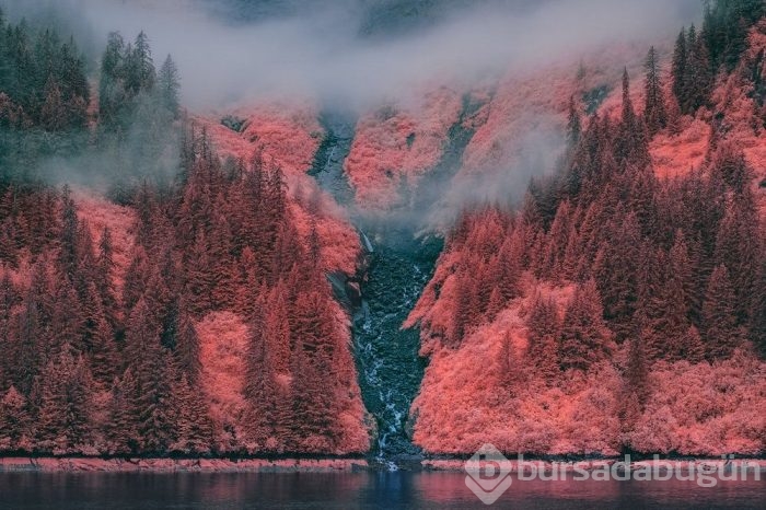 Muhteşem Kızılötesi fotoğrafçılık örnekleri
