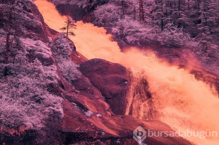 Muhteşem Kızılötesi fotoğrafçılık örnekleri