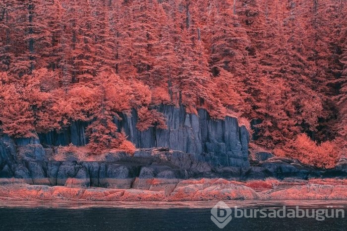 Muhteşem Kızılötesi fotoğrafçılık örnekleri