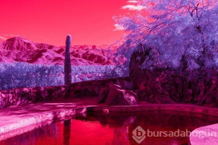 Muhteşem Kızılötesi fotoğrafçılık örnekleri