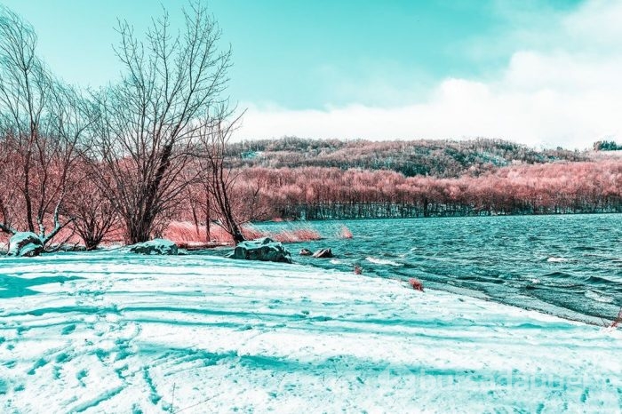 Muhteşem Kızılötesi fotoğrafçılık örnekleri