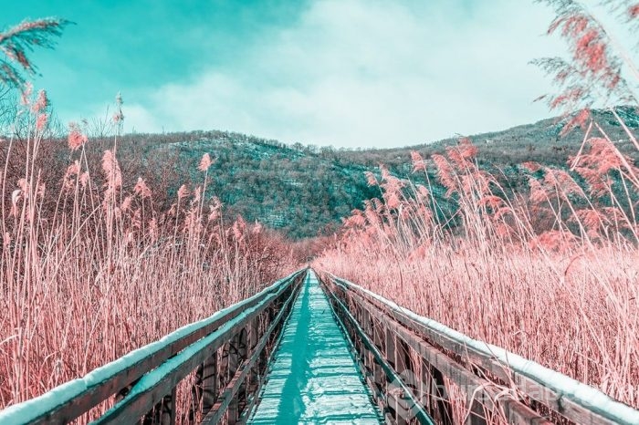 Muhteşem Kızılötesi fotoğrafçılık örnekleri