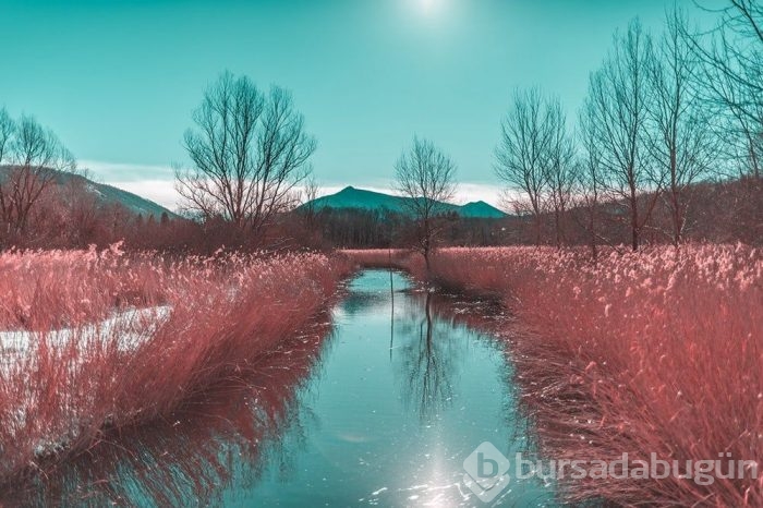 Muhteşem Kızılötesi fotoğrafçılık örnekleri