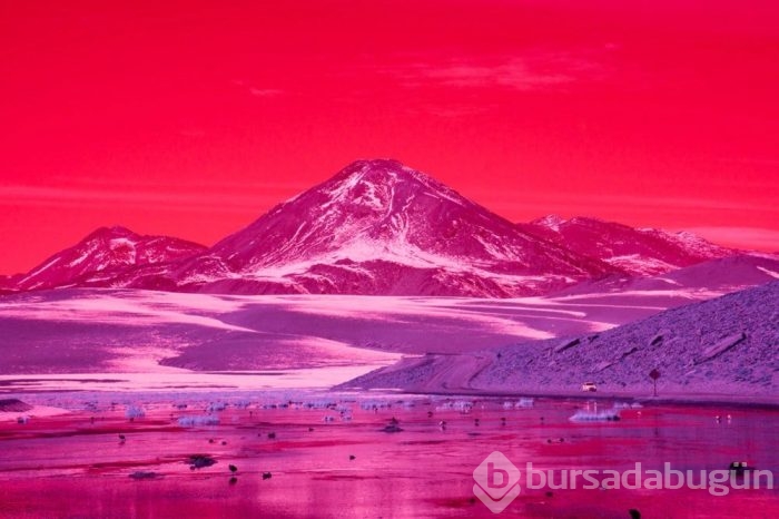 Muhteşem Kızılötesi fotoğrafçılık örnekleri