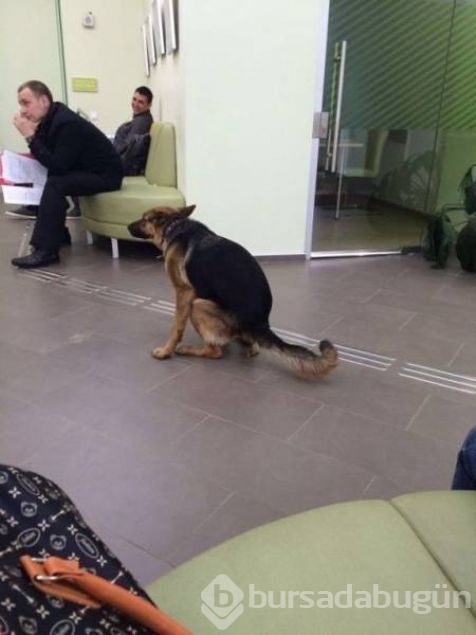 Günün en çok paylaşılan fotoğrafları
