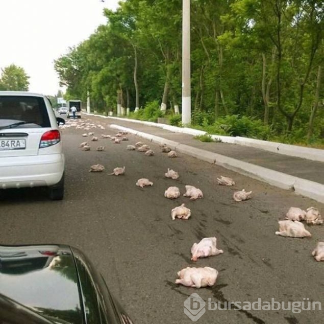 Günün en çok paylaşılan fotoğrafları
