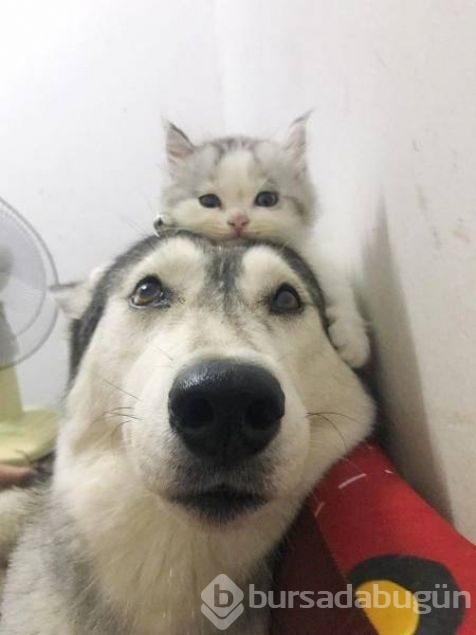 Günün en çok paylaşılan fotoğrafları
