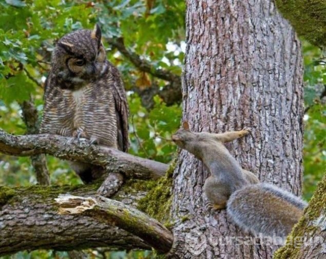 Günün en çok paylaşılan fotoğrafları
