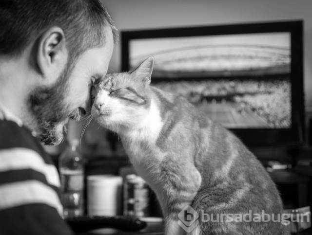 Günün en çok paylaşılan fotoğrafları
