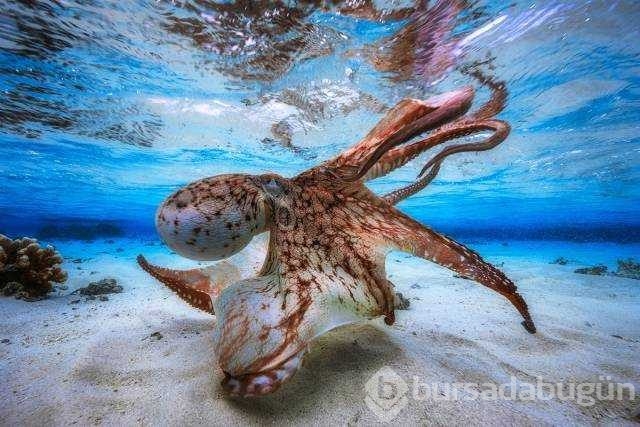Günün en çok paylaşılan fotoğrafları
