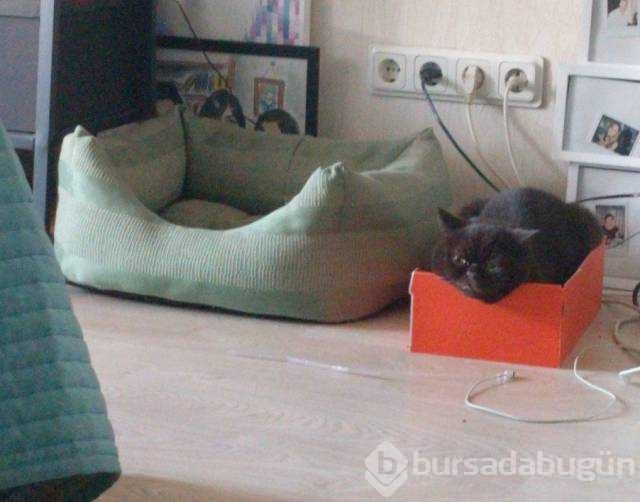 Günün en çok paylaşılan fotoğrafları
