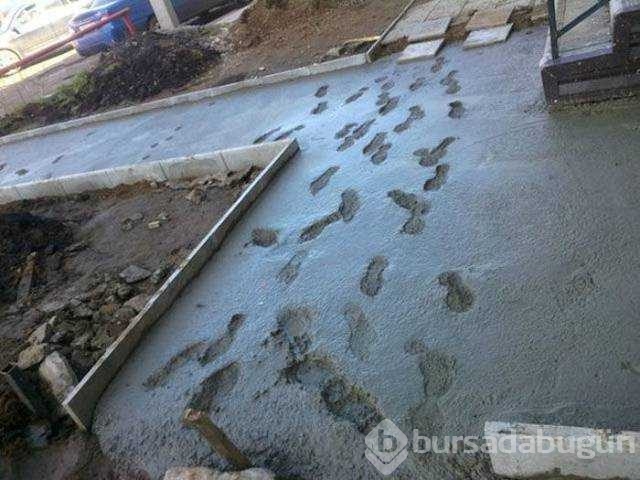 Günün en çok paylaşılan fotoğrafları

