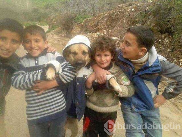 Günün en çok paylaşılan fotoğrafları
