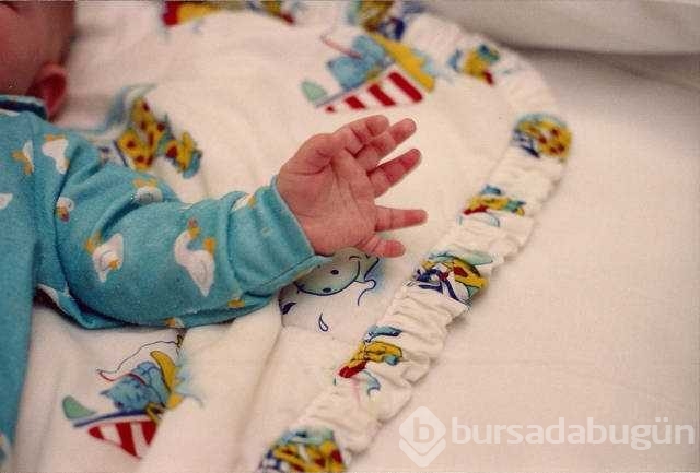 Günün en çok paylaşılan fotoğrafları
