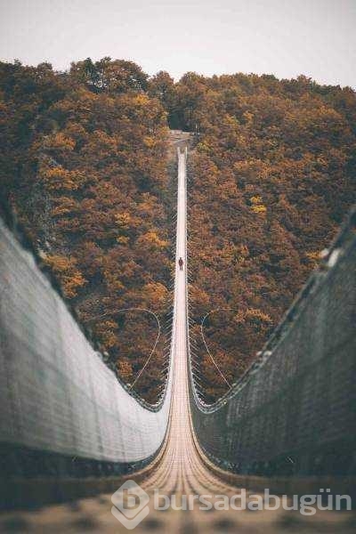 Günün en çok paylaşılan fotoğrafları

