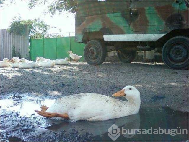 Günün en çok paylaşılan fotoğrafları
