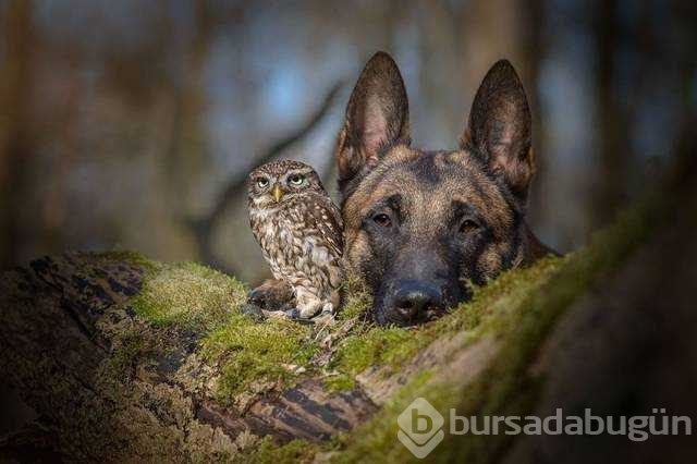Günün en çok paylaşılan fotoğrafları
