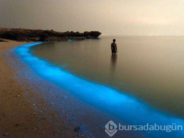 Günün en çok paylaşılan fotoğrafları
