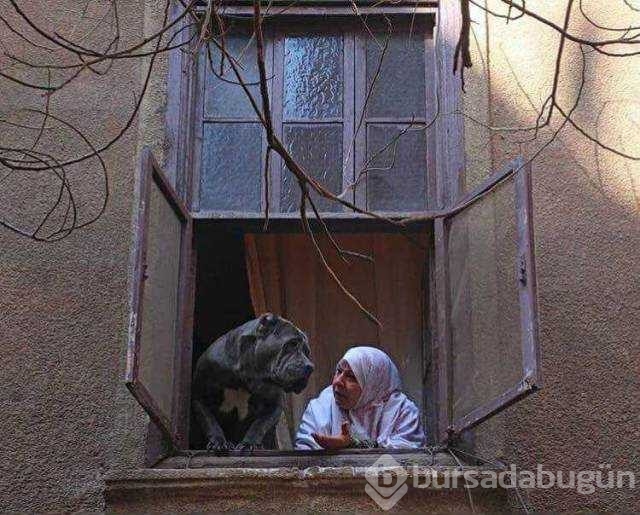 Günün en çok paylaşılan fotoğrafları
