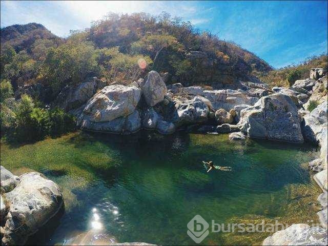Günün en çok paylaşılan fotoğrafları
