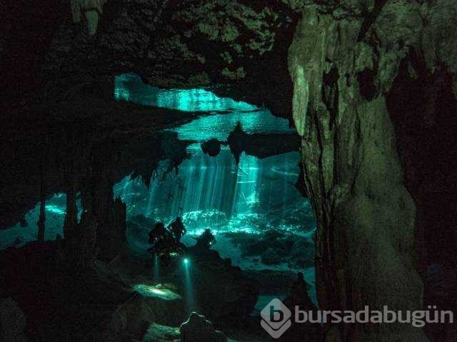 Günün en çok paylaşılan fotoğrafları
