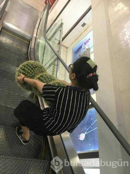 Günün en çok paylaşılan fotoğrafları
