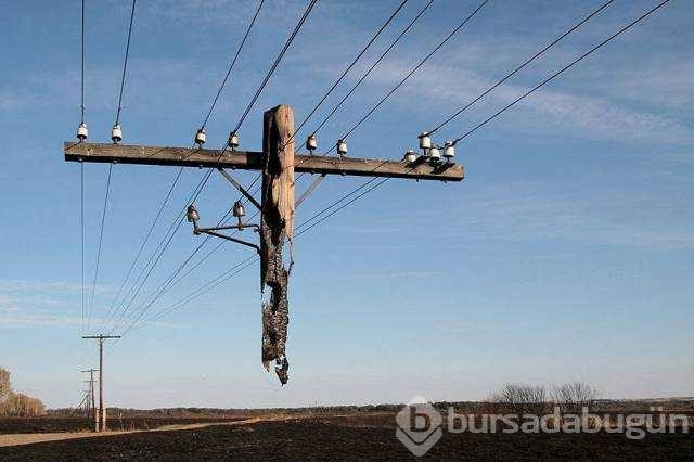 Günün en çok paylaşılan fotoğrafları
